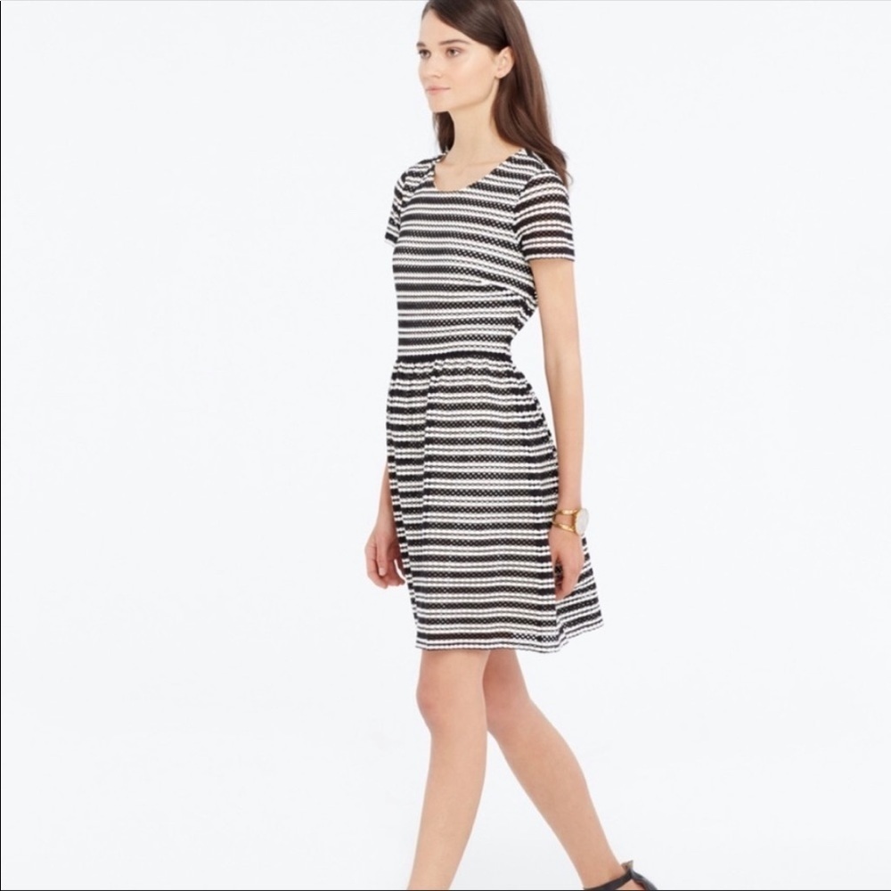 Ann Taylor Black and White Dress